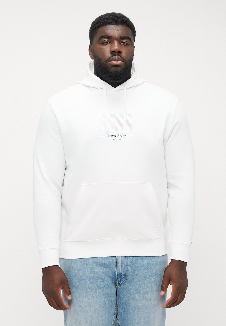 

Толстовка Tommy Hilfiger ITHACA FLAG HOODIE, White