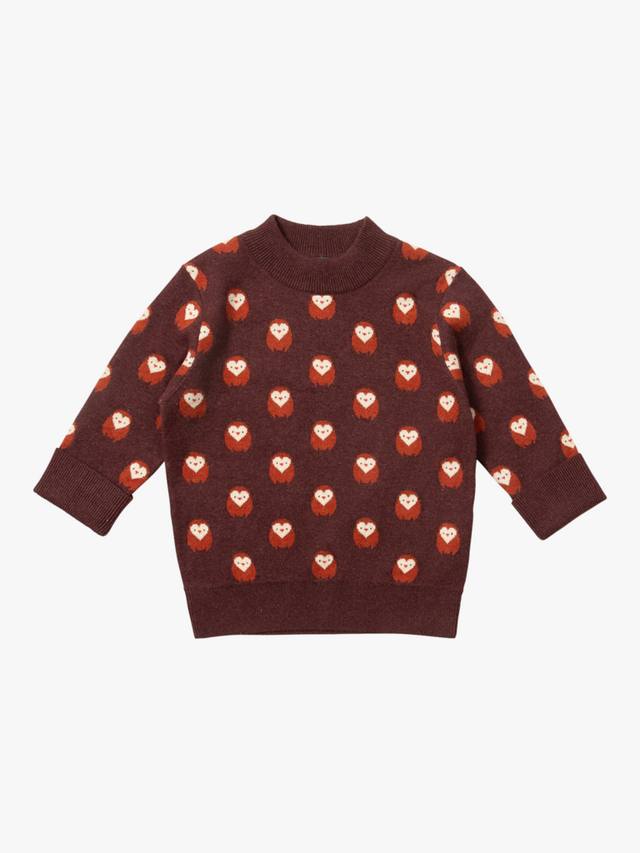 

Детский свитер с совой Little Green Radicals, Brown/Multi