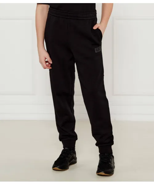 

Спортивные штаны Regular fit Ea7, черный