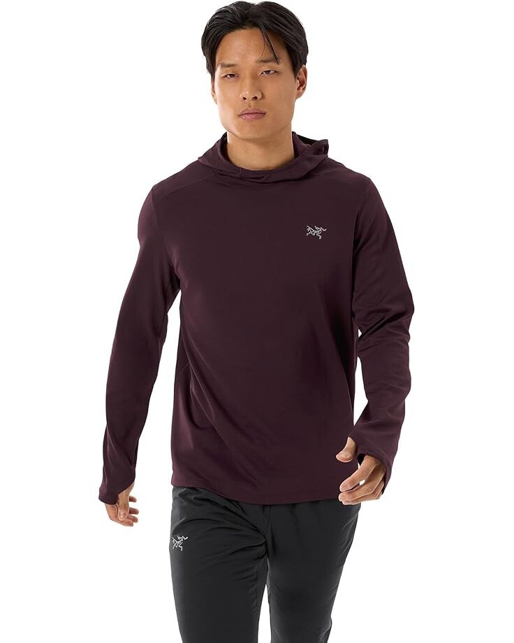 

Толстовка Arc'teryx Cormac Heavyweight Hoody, цвет Phantasm