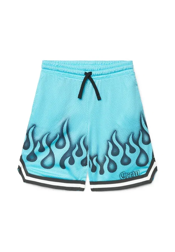 Шорты спортивные с принтом, модель Pantalone ginnico corto stampa, Terranova, бирюзовый
