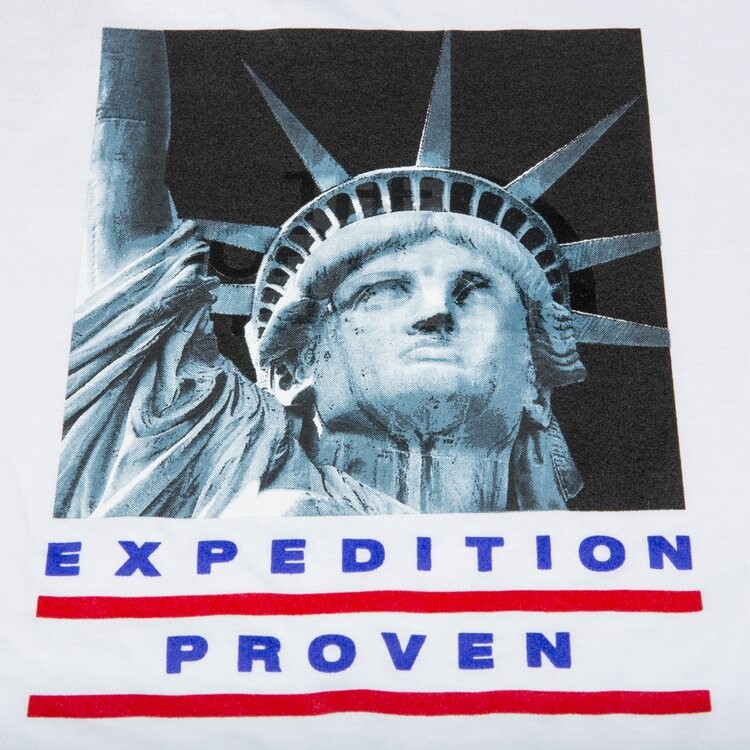Футболка Supreme x The North Face Statue Of Liberty T-Shirt 'White', белый — фото 3