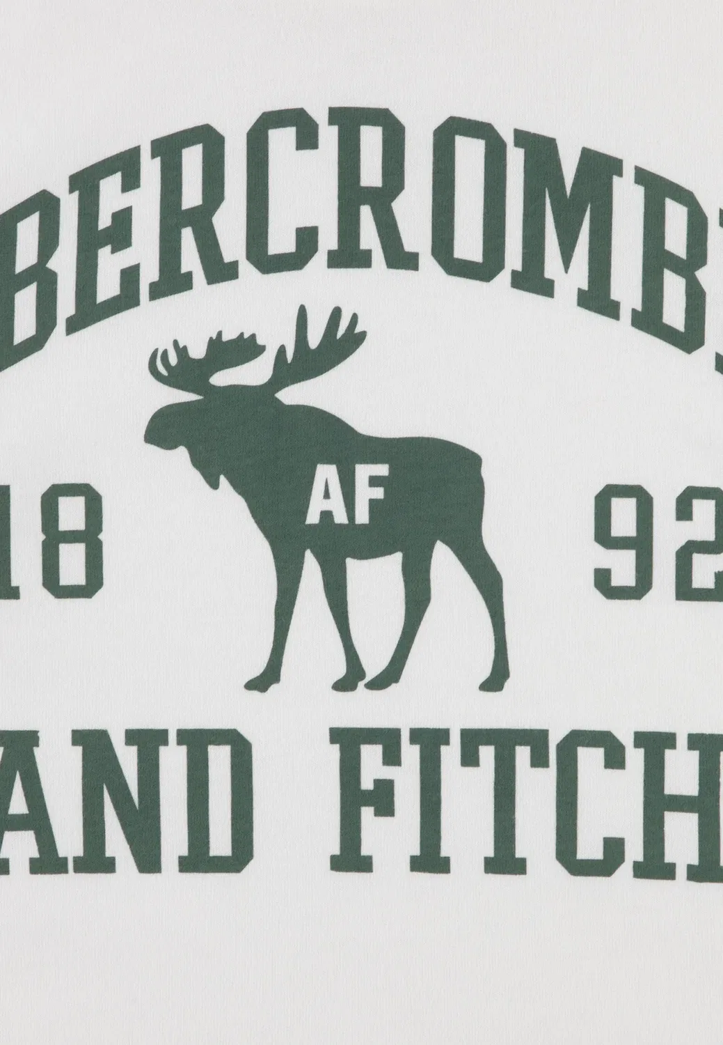 Футболка с принтом "Moose lockup" Abercrombie & Fitch, Jet Stream — фото 3