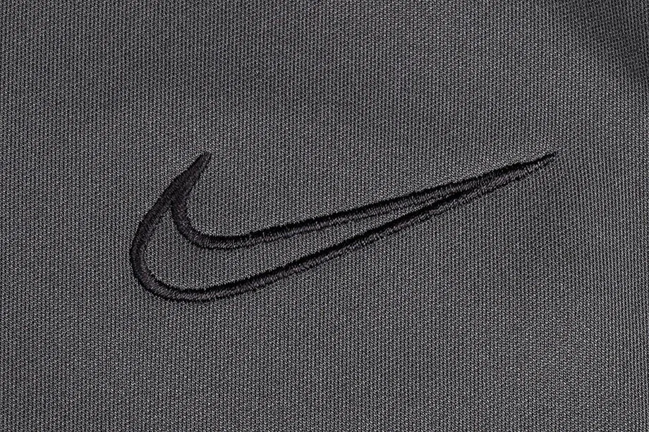 Женские спортивные штаны с утеплением Academy 21 Nike, Grau — фото 2