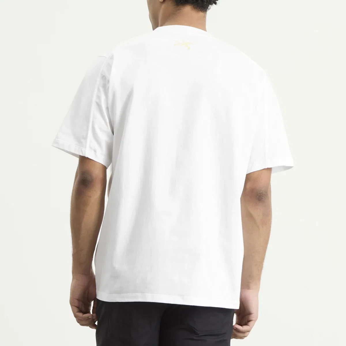 Футболка хлопковая с принтом Kragg Lithographica Arcteryx, White Light — фото 3