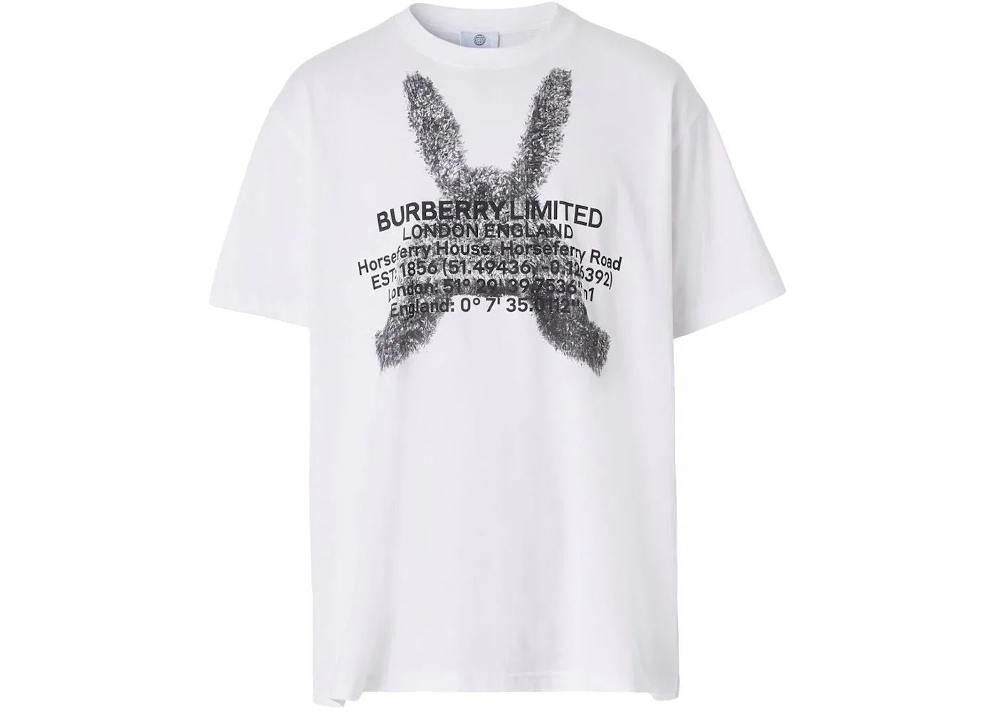 Мужская футболка оверсайз с принтом Montage Print Burberry, White/Black