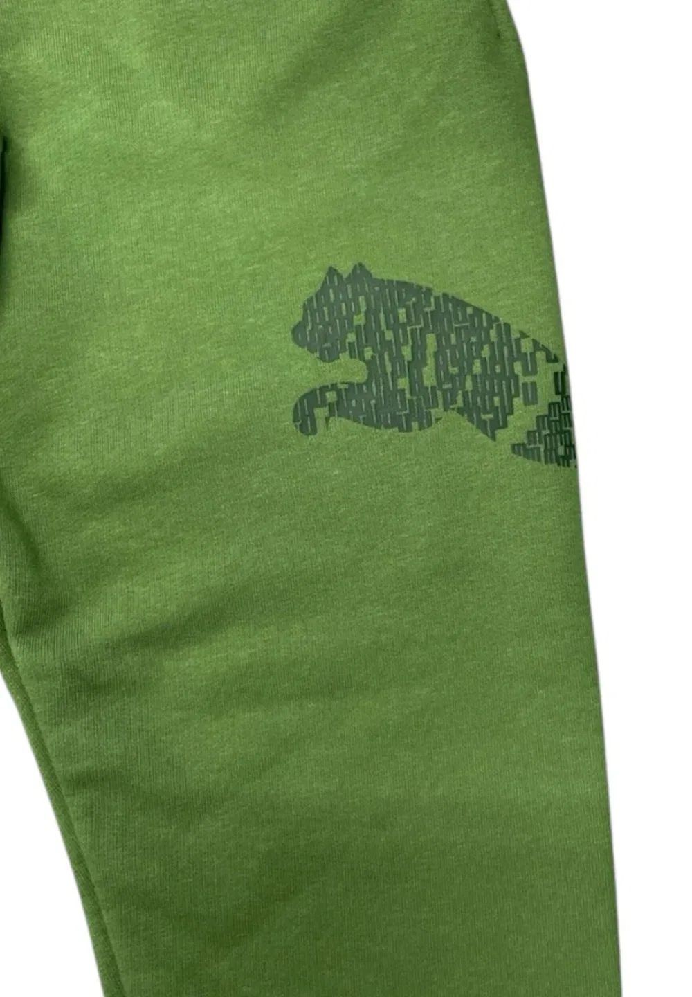 Брюки Pantalone ess grap pants tr col 68 - спортивные штаны Puma, Green — фото 4