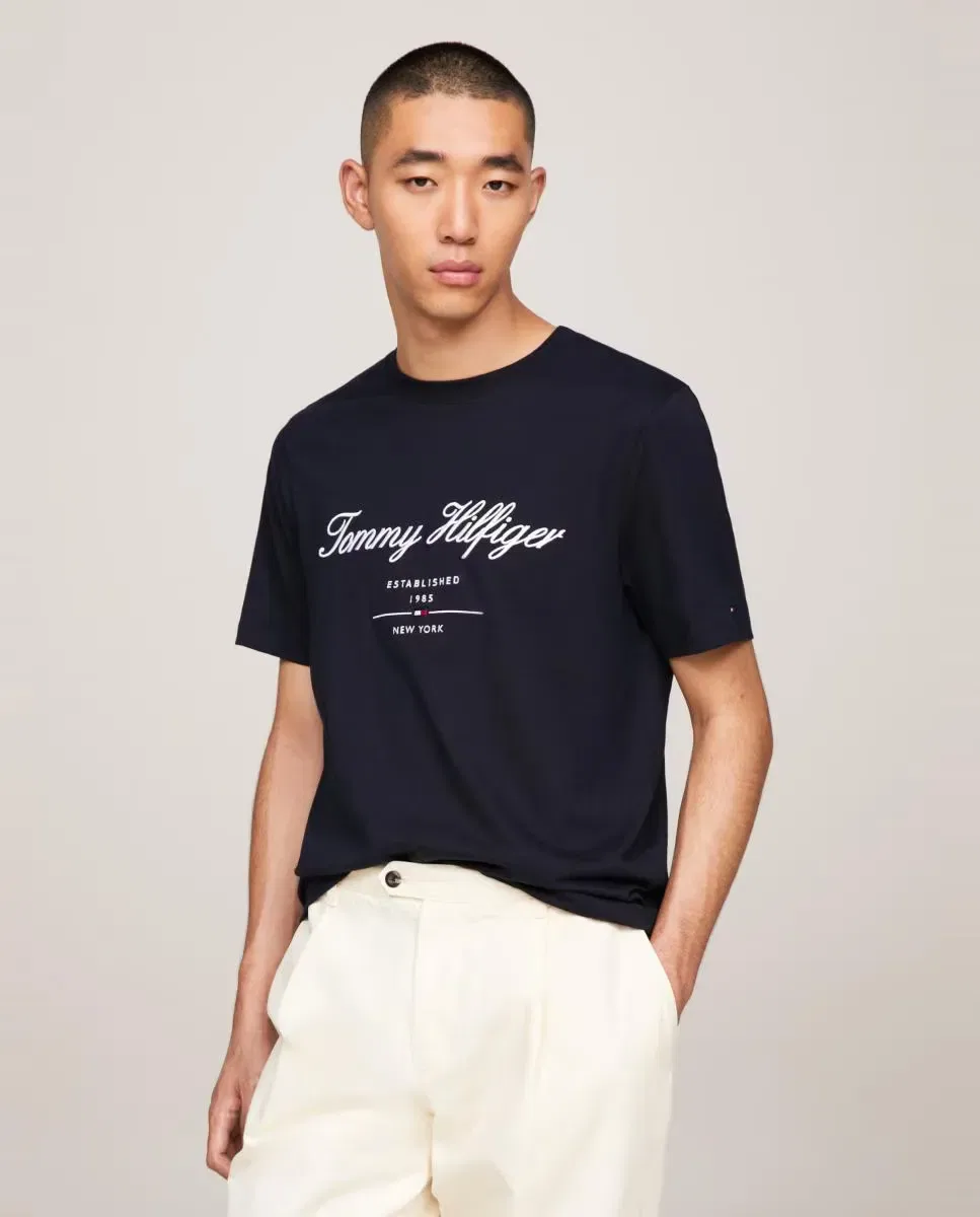Мужская футболка с вышитым брендингом Tommy Hilfiger, Azul Marino