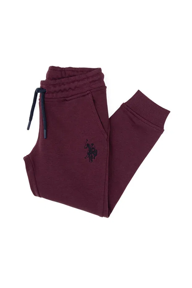 Детские спортивные штаны для мальчиков с принтом U.S. Polo Assn., Plum