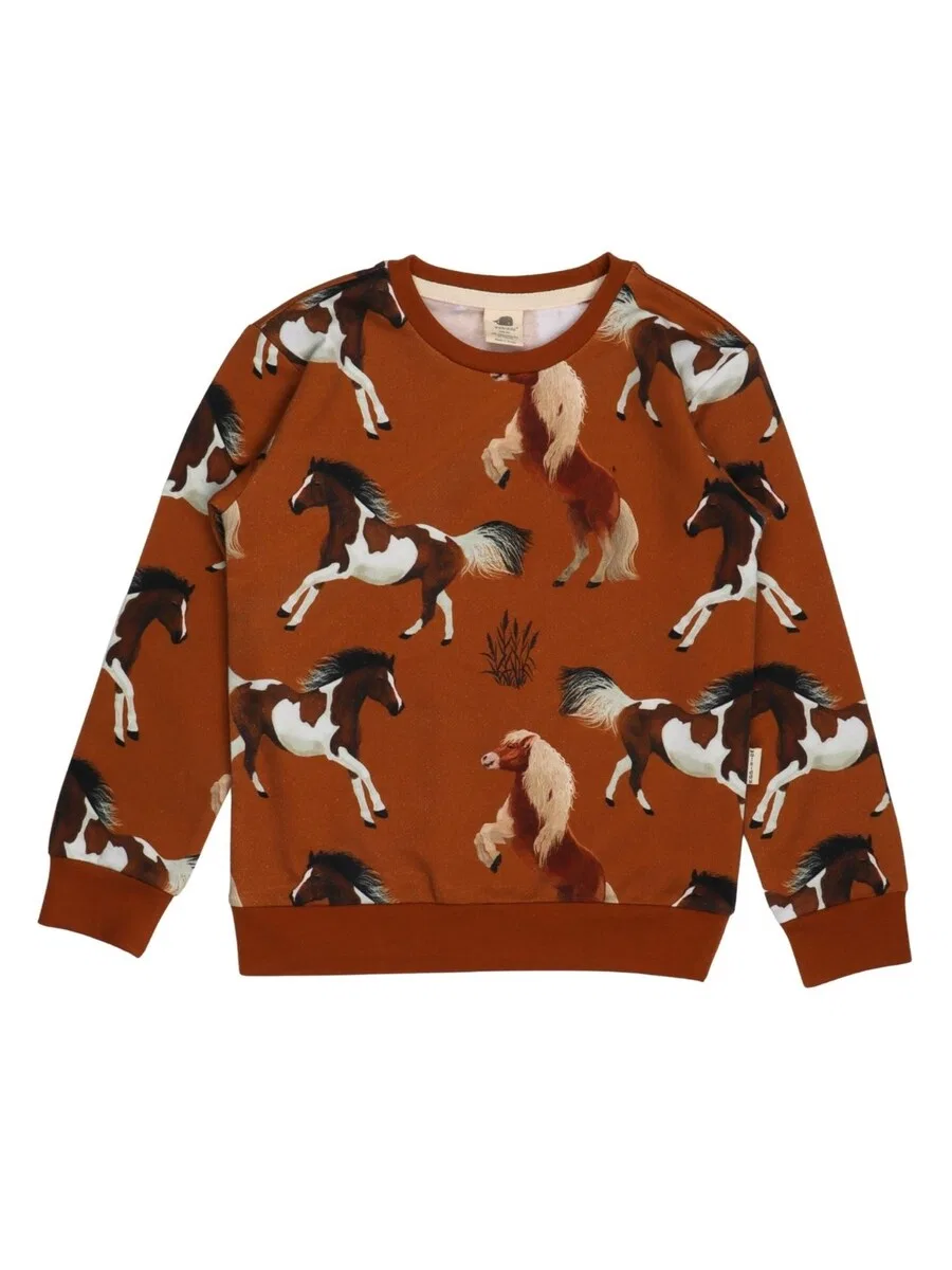 Толстовка Walkiddy 'Walkiddy - Joyful Horses Sweatshirt' коричневого цвета