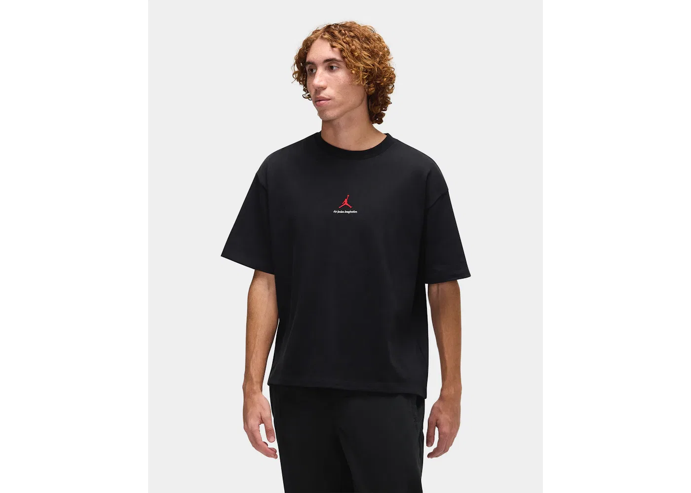 Мужская футболка с принтом Jordan Nigel Sylvester Brick Tee, Black — фото 4