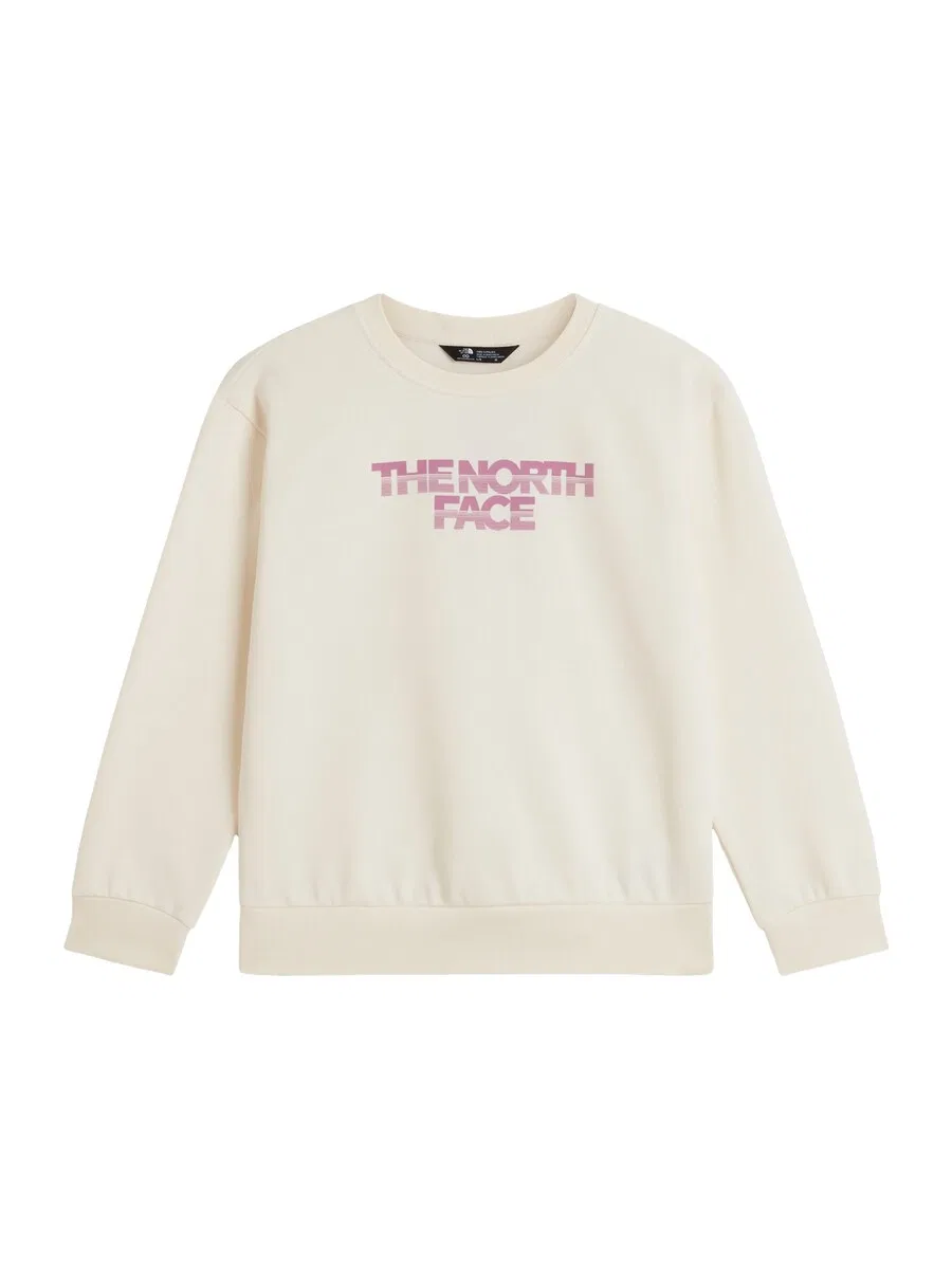 Толстовка THE NORTH FACE 'Chalbi' светло-бежевого цвета