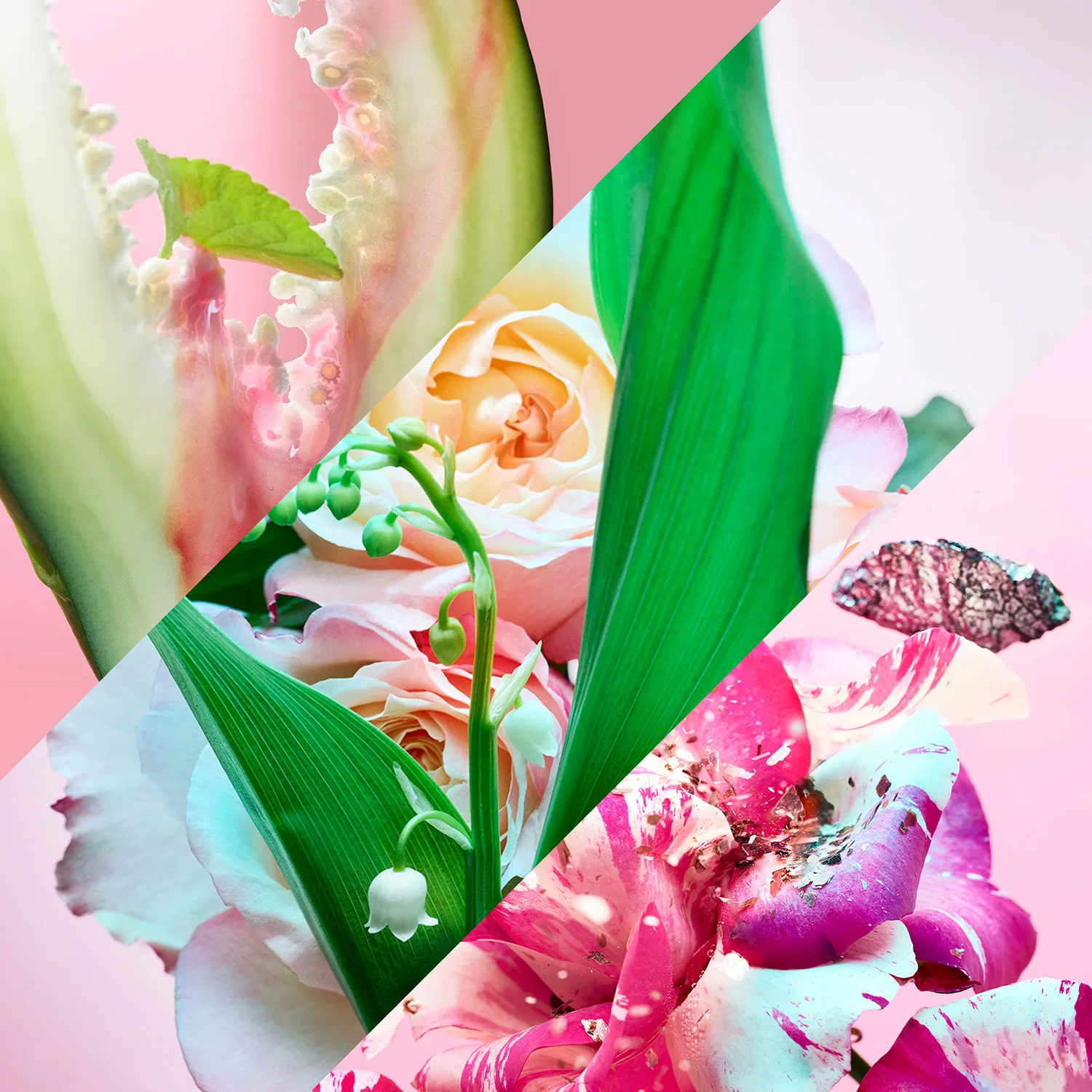 Парфюмерная вода Rose Goldea Blossom Delight 75 мл BVLGARI — фото 3