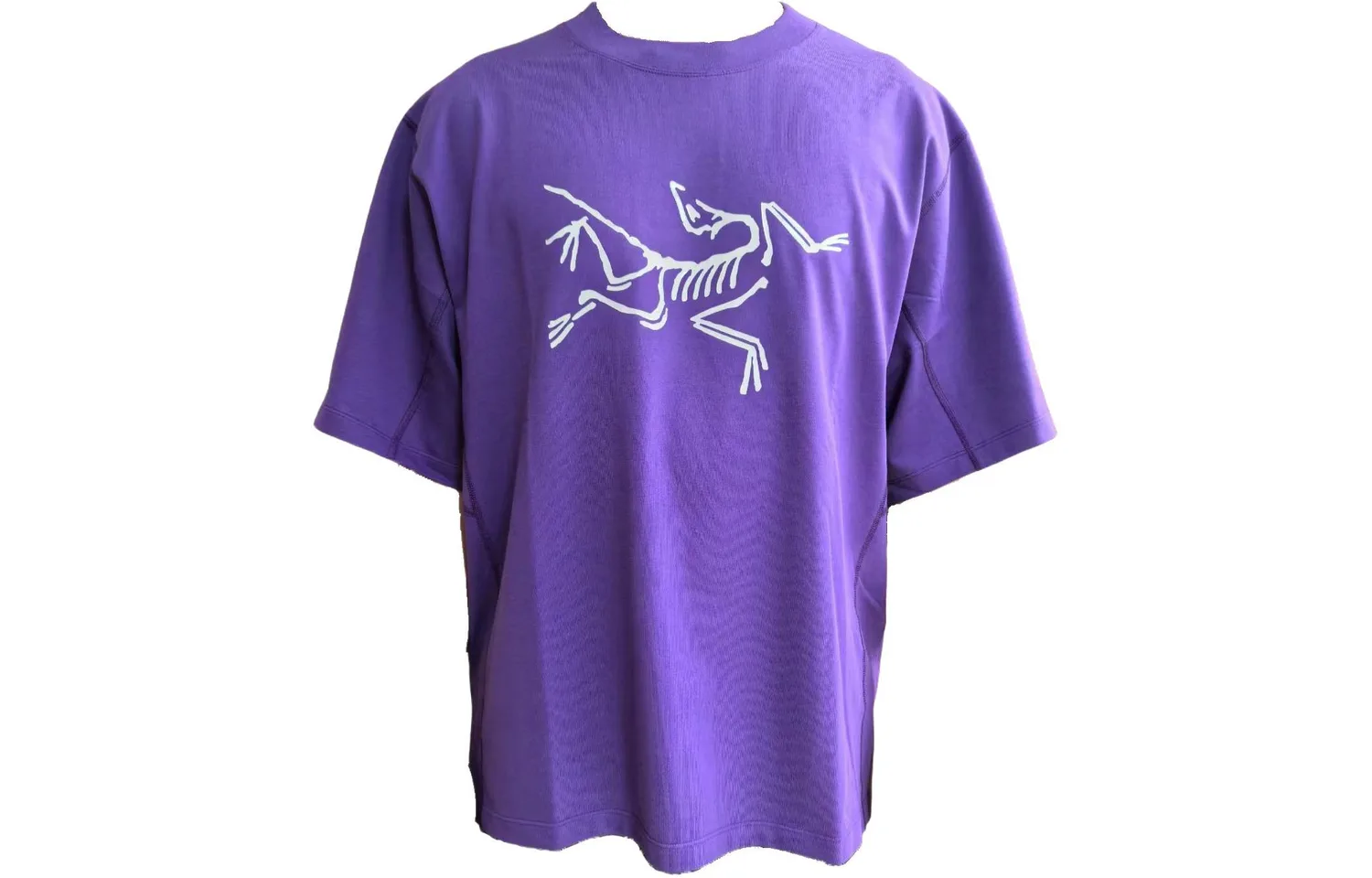 Футболка Envoy Arc'Word мужская с круглым вырезом, умеренно прямого кроя Arcteryx, Silver Phantom Purple/IOLA