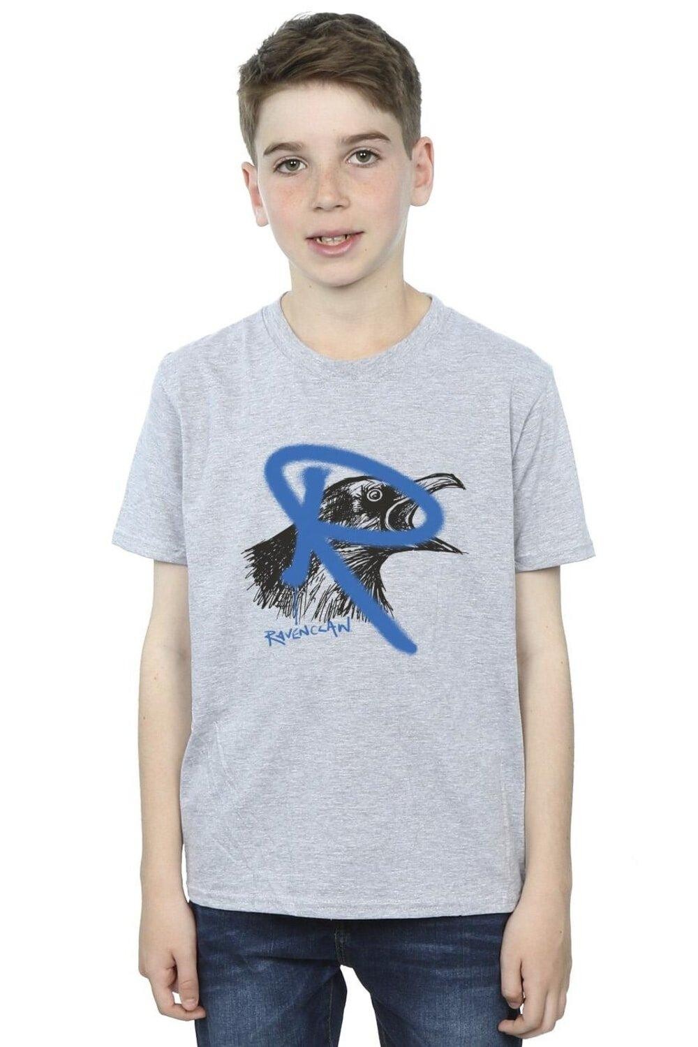 

Футболка Ravenclaw Pop Spray Harry Potter, серый