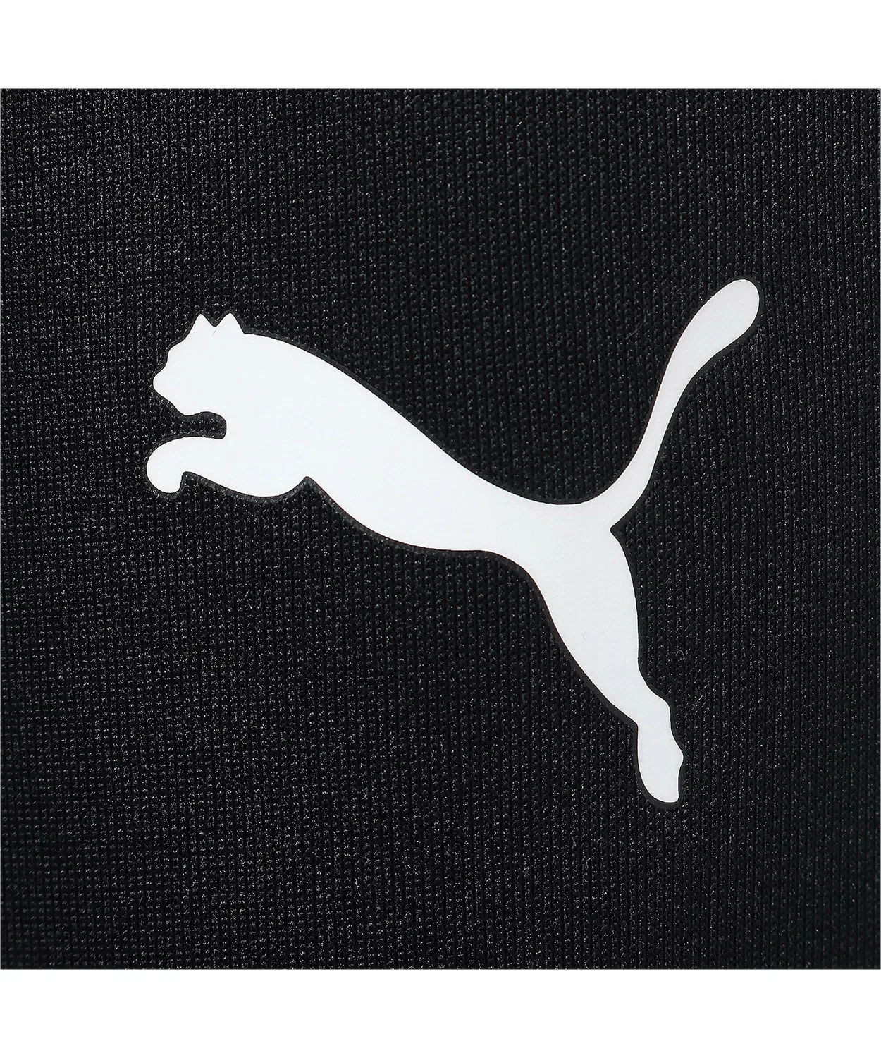 Детские тренировочные брюки для мальчиков с принтом TeamRISE Poly Trg Pants Jr PUMA, Black White — фото 3