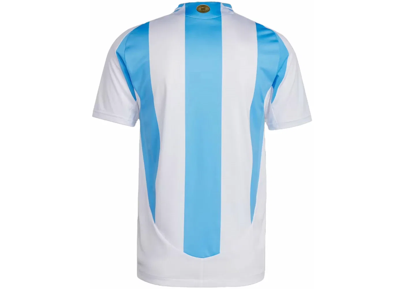 Мужская футбольная джерси с принтом Adidas Argentina 2024 Home Authentic Jersey, White/Blue Burst — фото 2