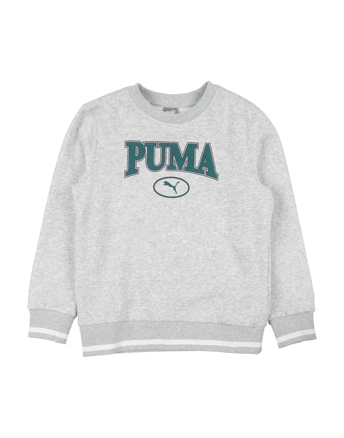 Детский свитшот для мальчиков с принтом Puma Squad Crew Fl B Puma, светло-серый