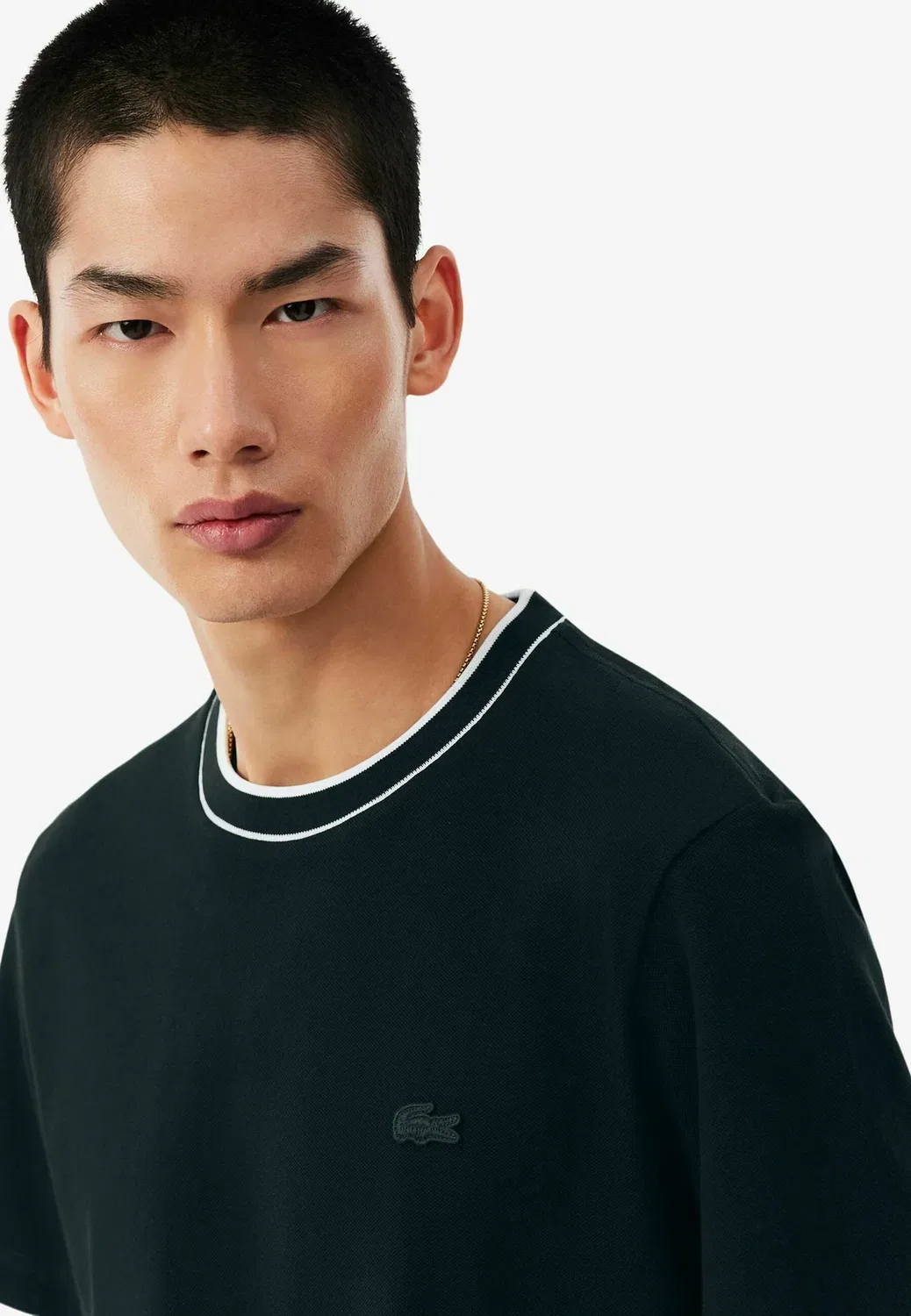 Th8174_166 - базовая футболка Lacoste, Vert Foncé-Gjp