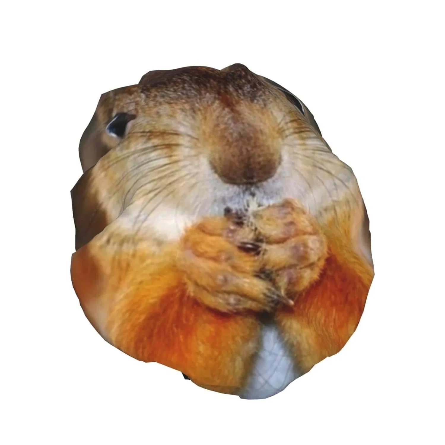 Шапочка для душа OCELIO, 27.7x10.9 см, Fun Squirrel — фото 2