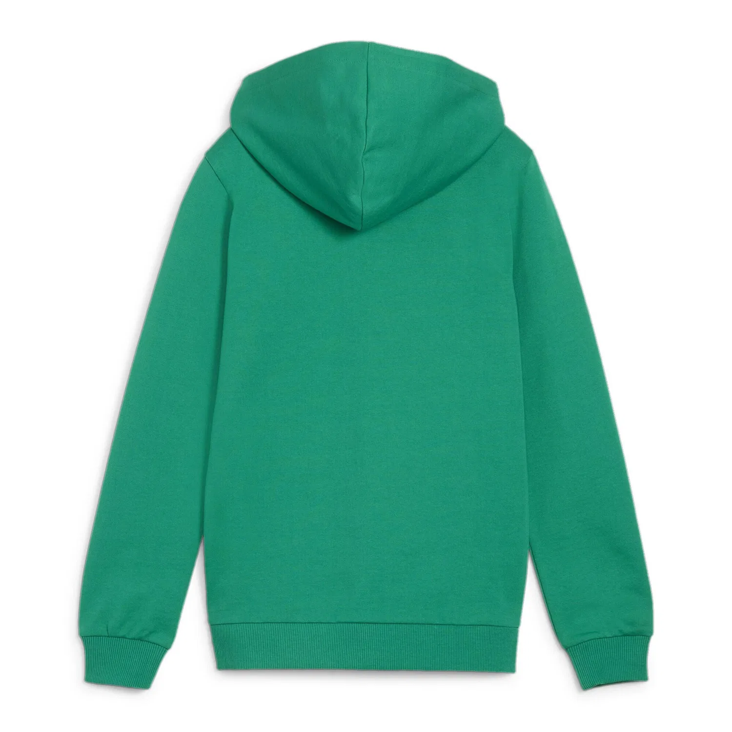 Детское худи teamGOAL Casuals Hooded Jacket Jr Puma, Grun — фото 3