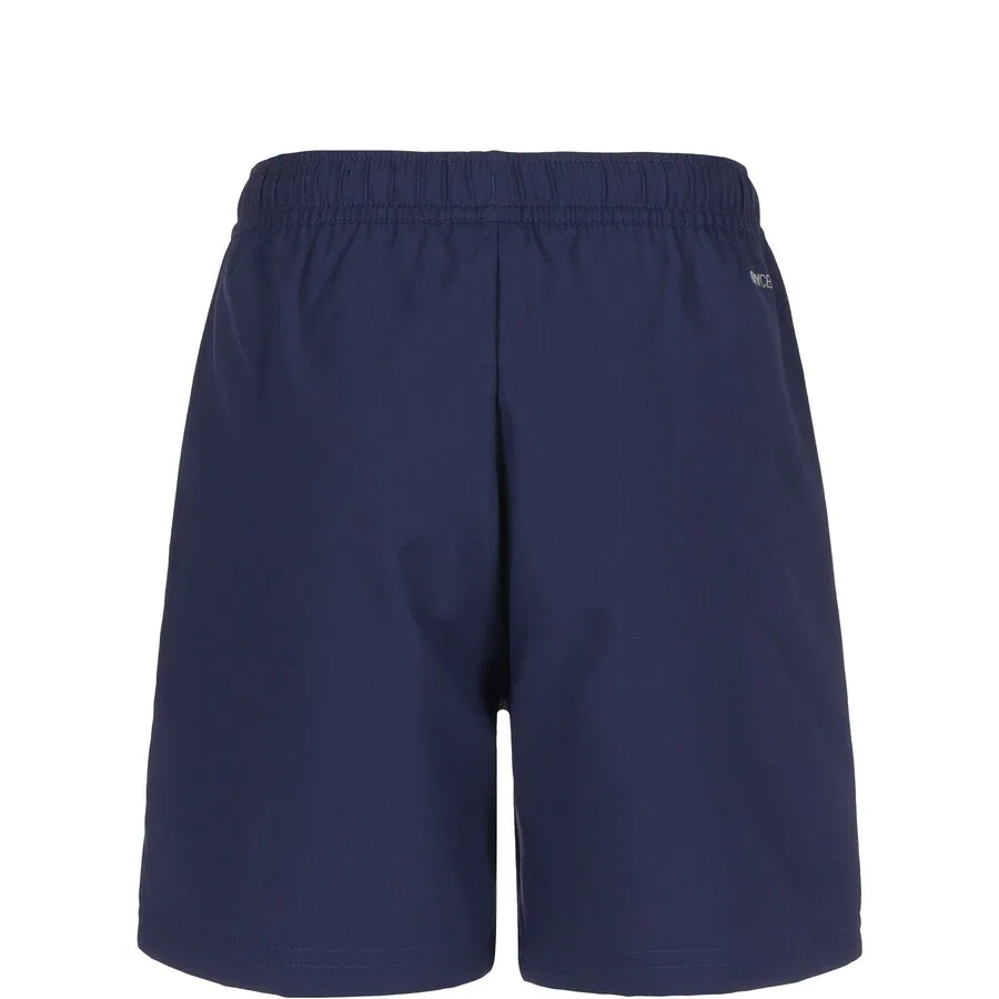 Спортивные брюки PUMA Regular Workout Pants 'Teamliga Sideline' в цвете Night Blue — фото 2