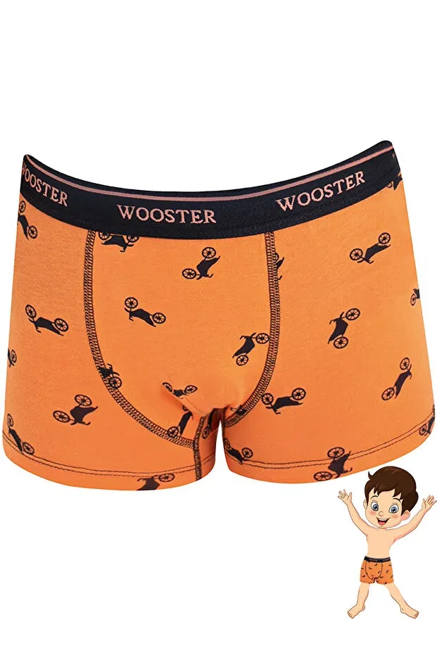 Детские боксеры для мальчиков с принтом Wooster, Orange