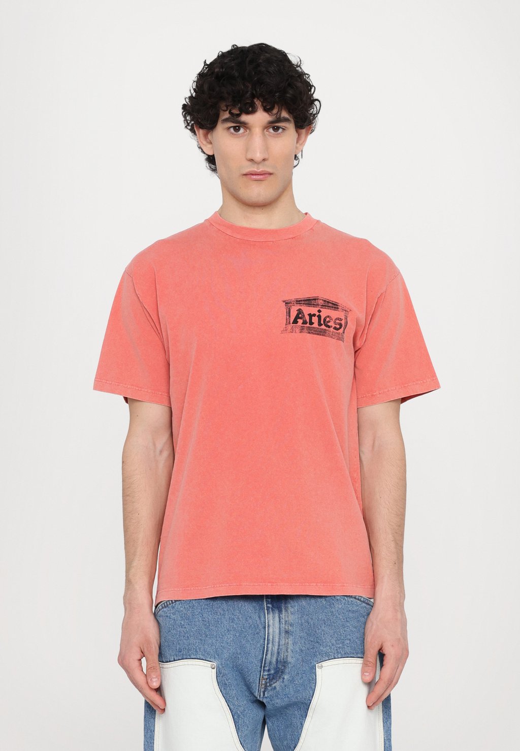 

Футболка с принтом AGED ANCIENT TEMPLE TEE Aries, светло-красный