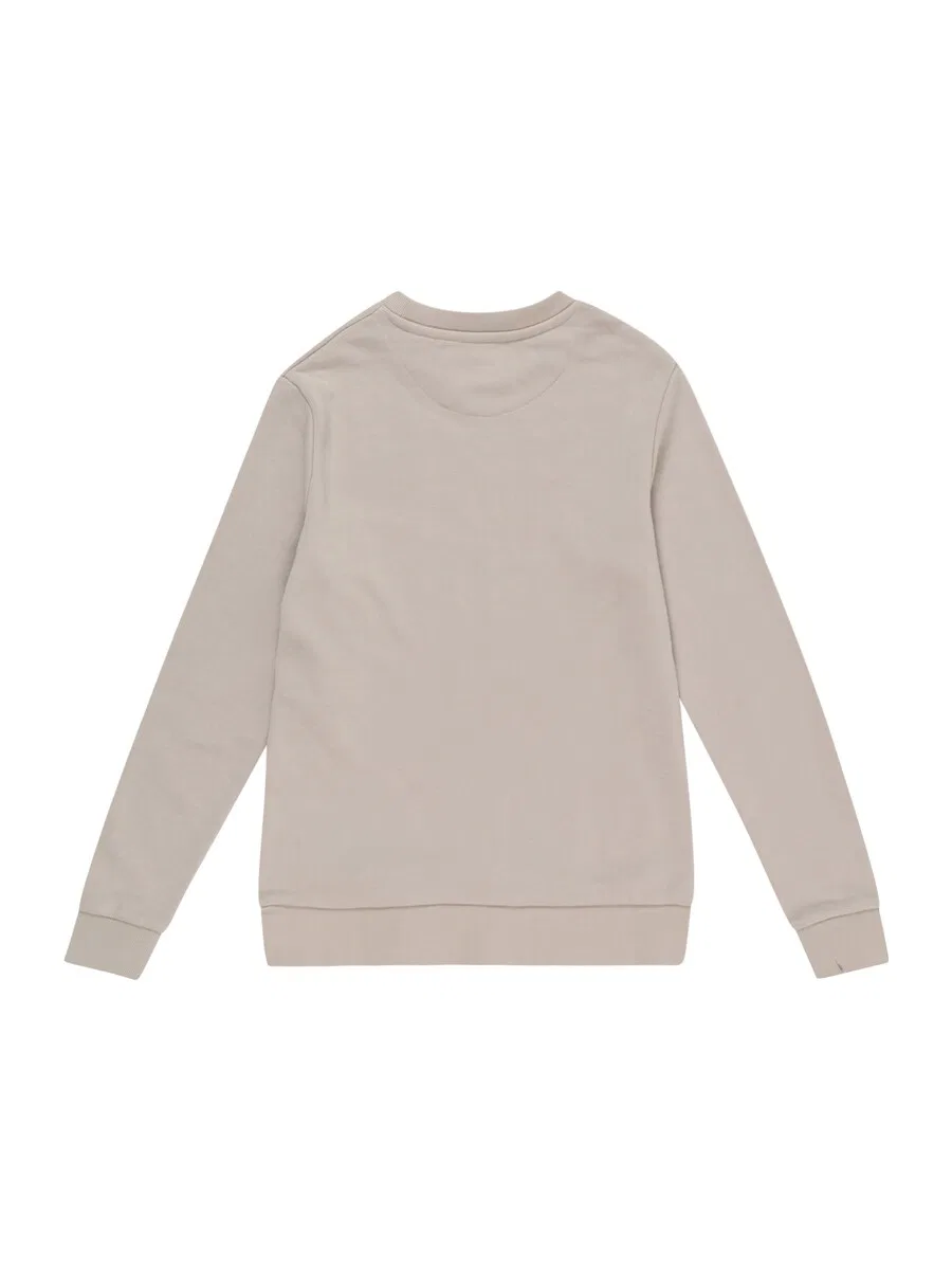 Детская толстовка 'JJEBradley' в цвете Kitt Jack & Jones Junior — фото 2