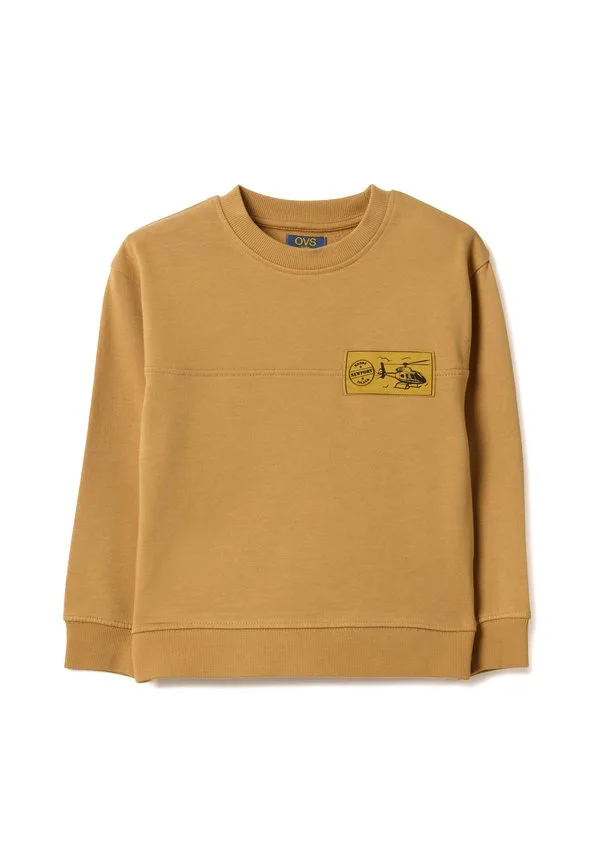 Толстовка оверсайз с круглым вырезом Ovs, Light Tobacco Brown