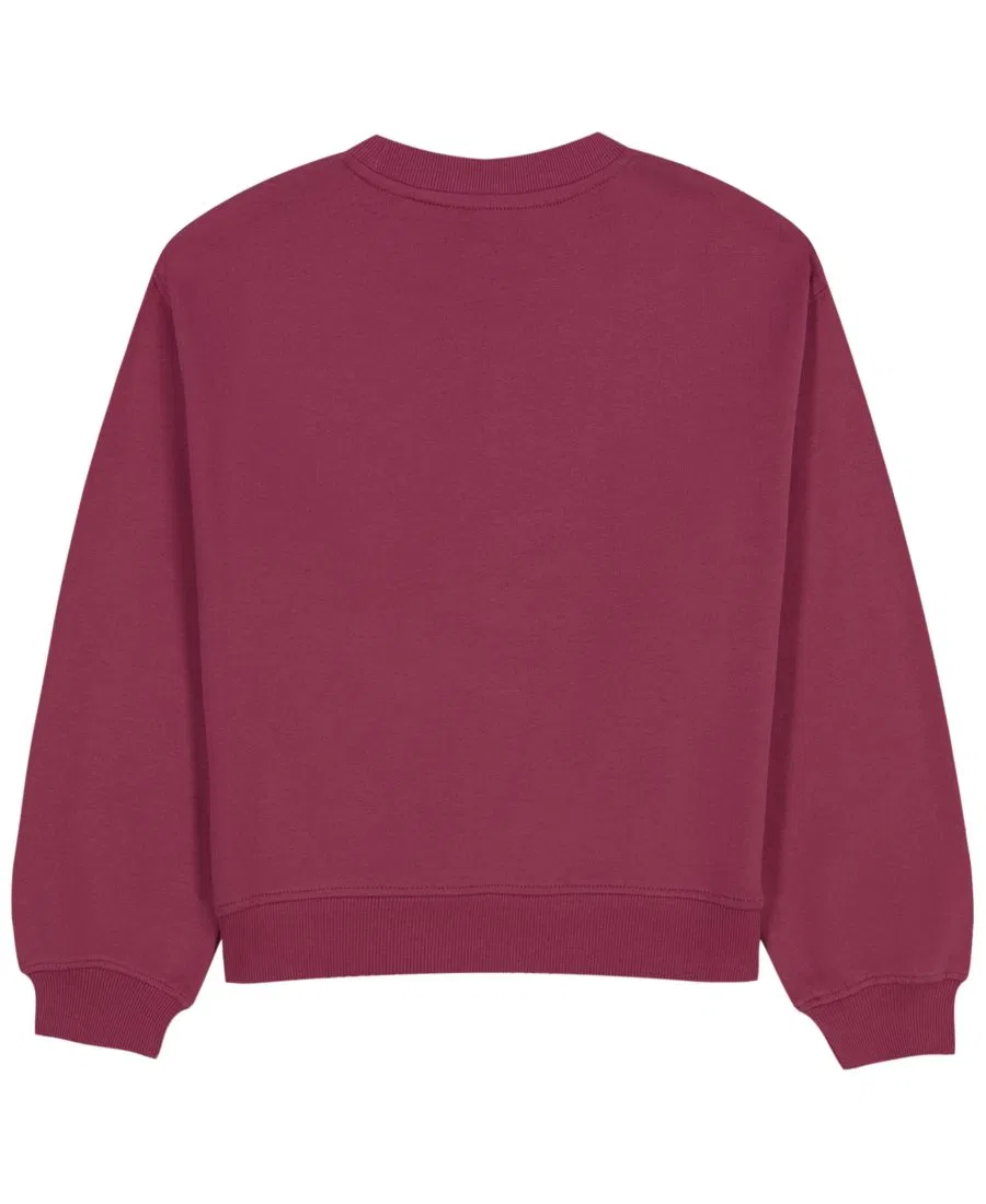 Свитшот с принтом Tommy Hilfiger, Berry Blast — фото 2