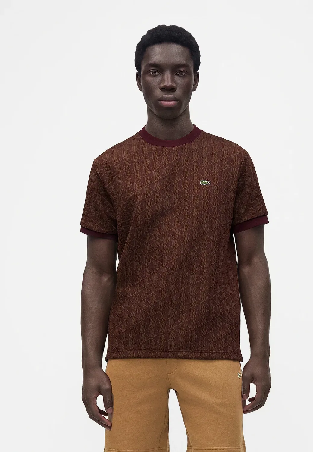 Простая футболка Lacoste, Marron