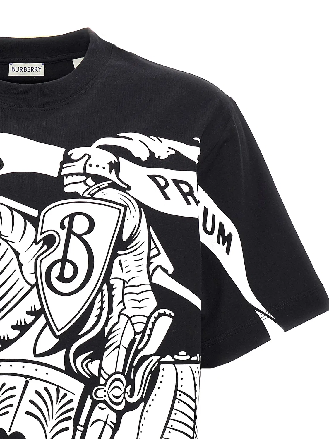 Мужская футболка с принтом Bicolor Cotton T-Shirt Burberry, Bicolor — фото 3