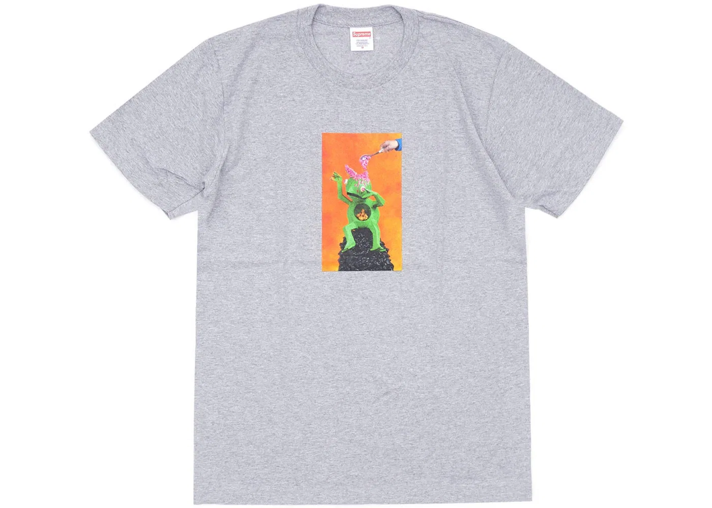 Мужская футболка Supreme Mike Hill Brains Tee, Grey