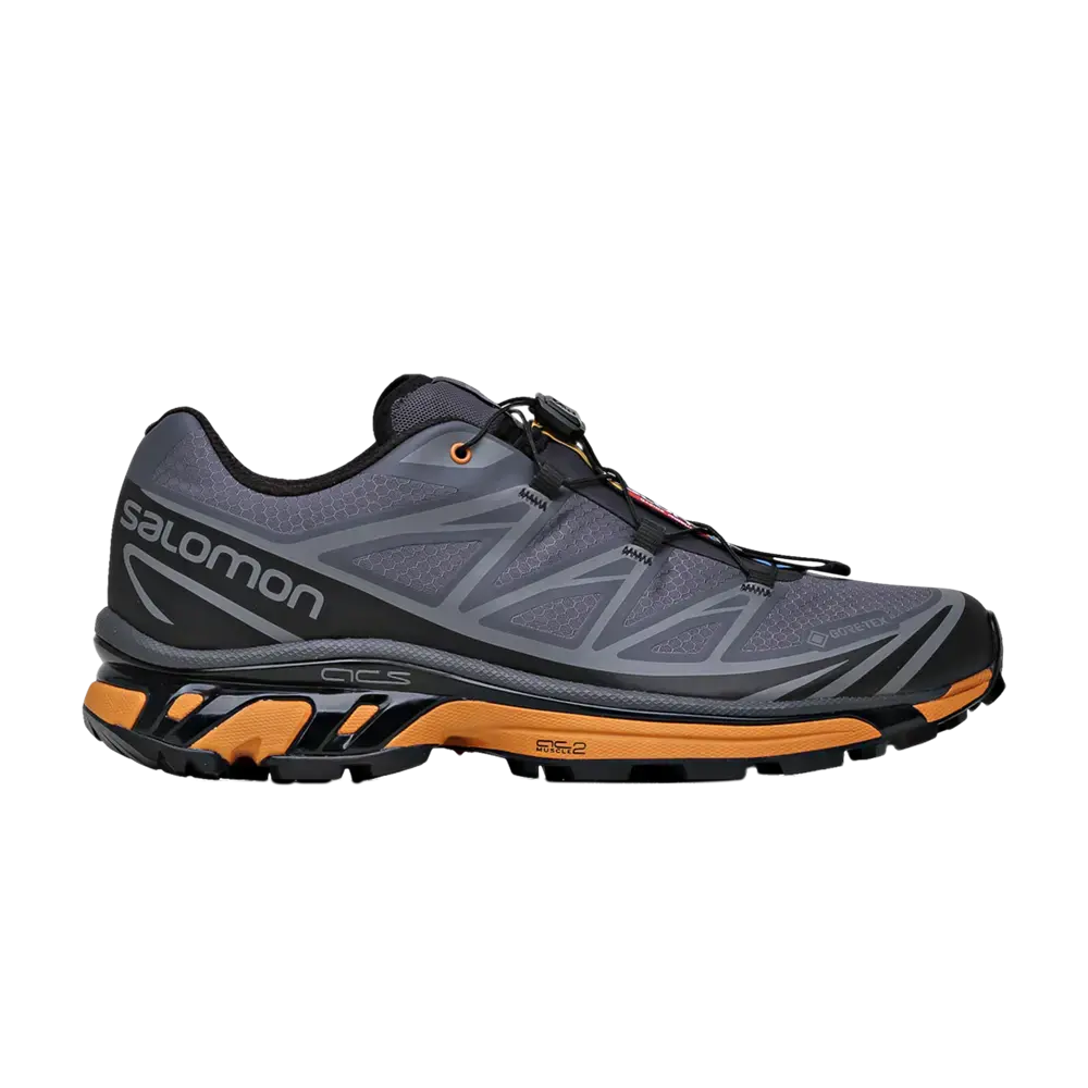 Кроссовки XT-6 GORE-TEX Utility Salomon, черный