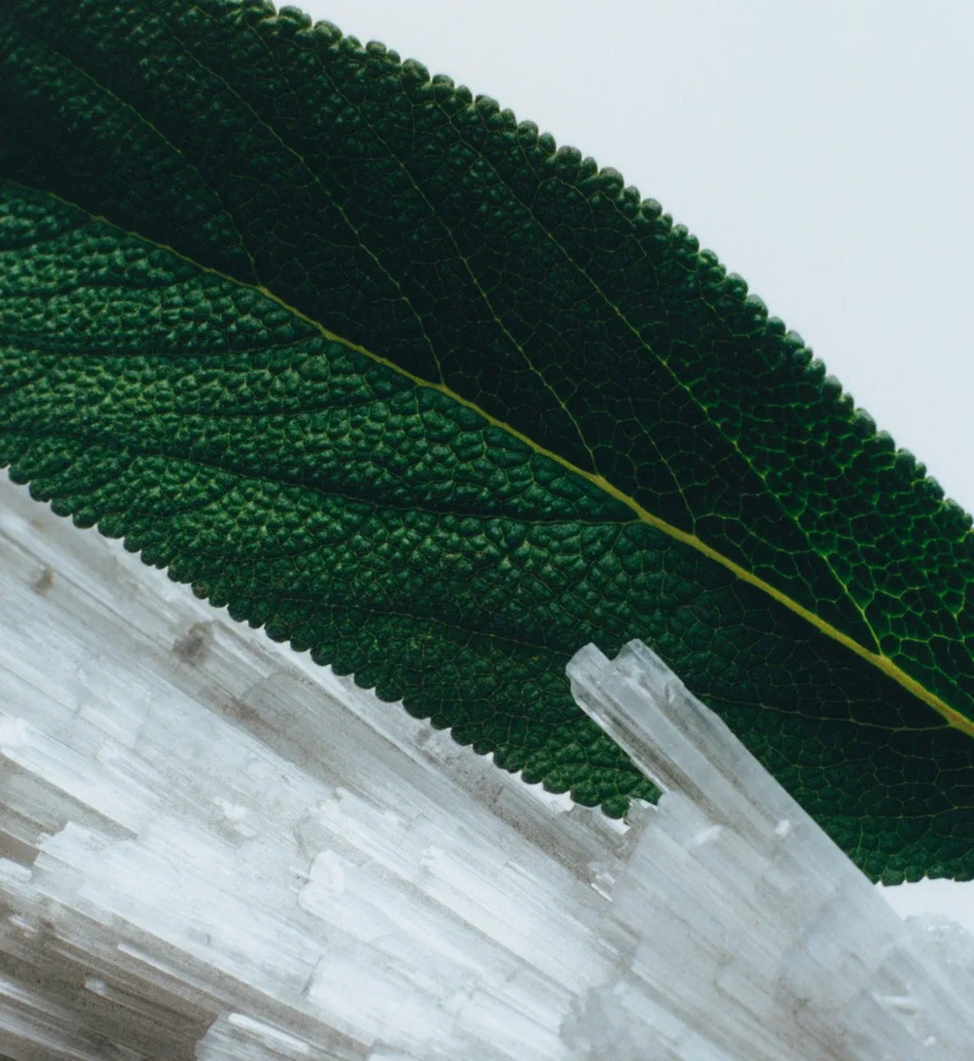 Jo Malone London Одеколон — фото 2