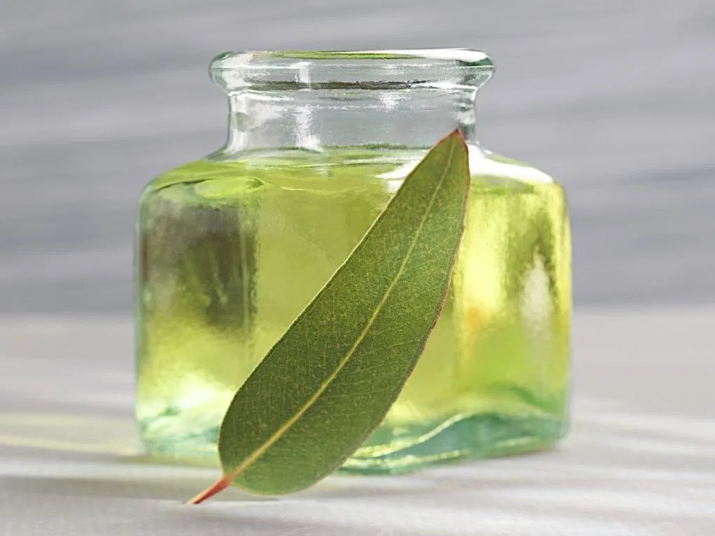 Дезодорант ClayDry Zion Health Eucalyptus Mint, 80 г — фото 3
