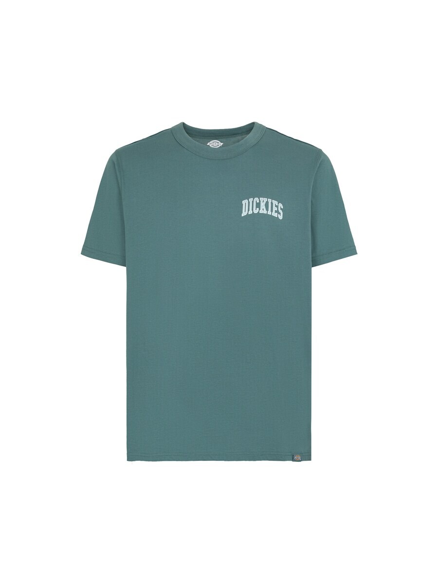 

Спортивная футболка DICKIES AITKIN, цвет Mint/Jade