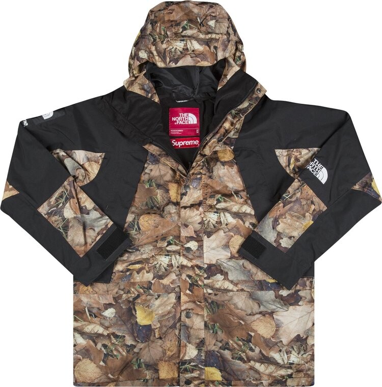 

Куртка Supreme x The North Face Mountain Light Jacket 'Leaves', коричневый