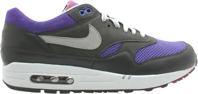 

Кроссовки Nike Air Max 1 Premium 'Varsity Purple', фиолетовый