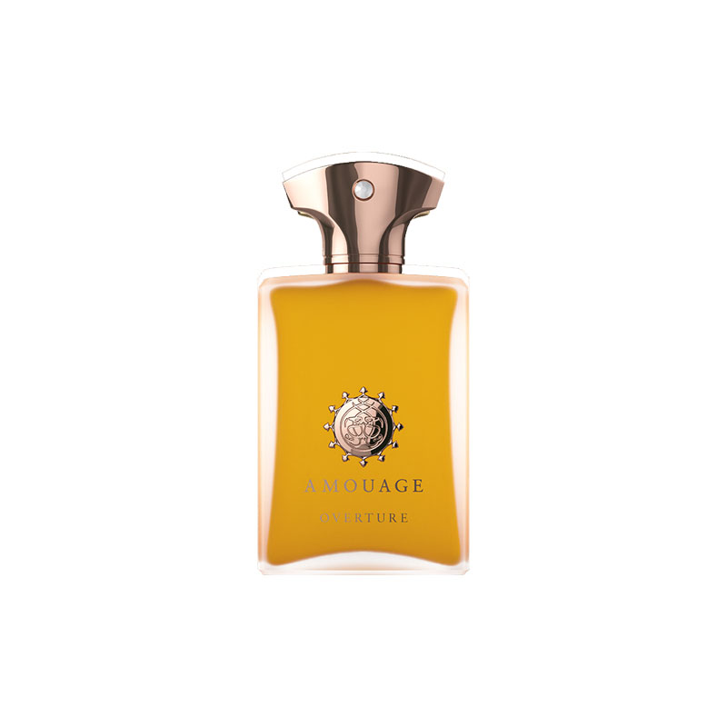 Духи мужские woody oriental accord eau de parfum 100 мл ginger cinnamon AMOUAGE — фото 2