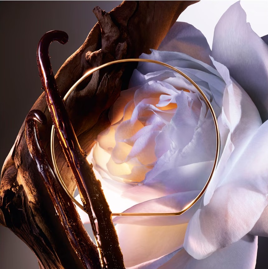 Парфюмерная вода Lancôme Absolue Les Parfums Rose on the Moon — фото 4