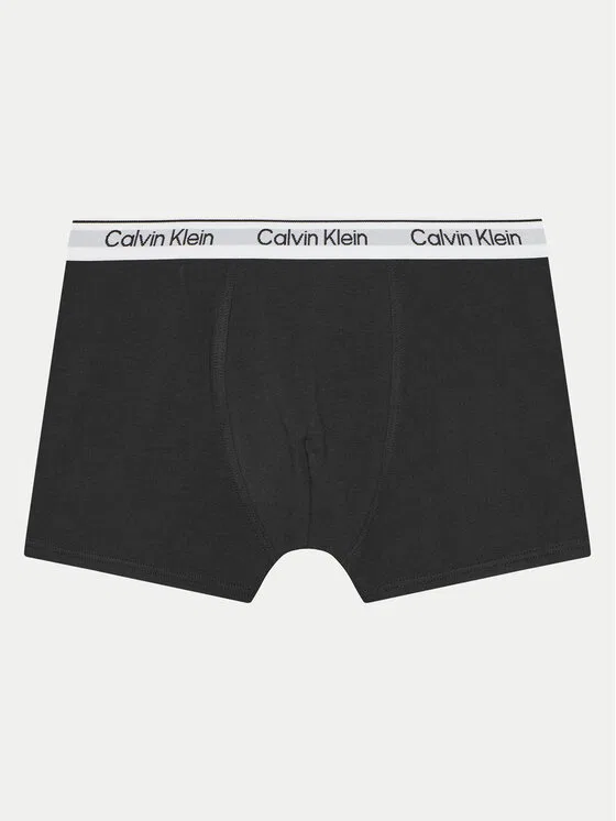 Комплект боксеров Calvin Klein Underwear, мультиколор — фото 3