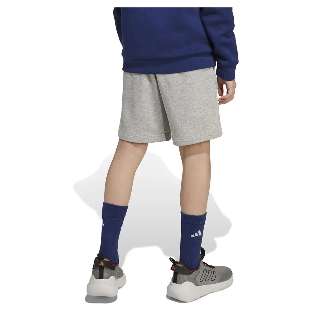 Шорты Adidas Seasonals Essentials Collegiate Typography, серый — фото 2
