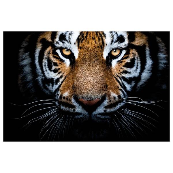 

Картина на холсте A.S. Création Eyes Of A Tiger цвет braun/weiß