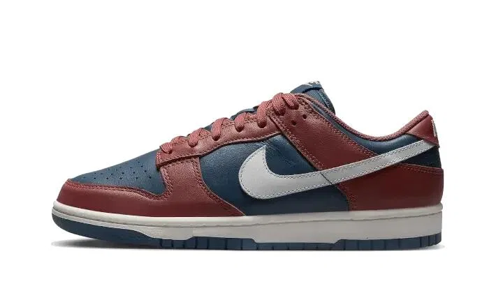 Детские кроссовки с ретро-дизайном Dunk Low Retro Nike, Canyon Rust White Blue