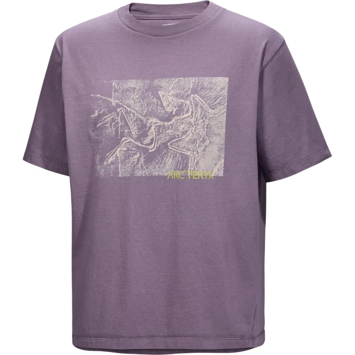 Мужская футболка с принтом Kragg Graphic Arcteryx, Lt Moondrop