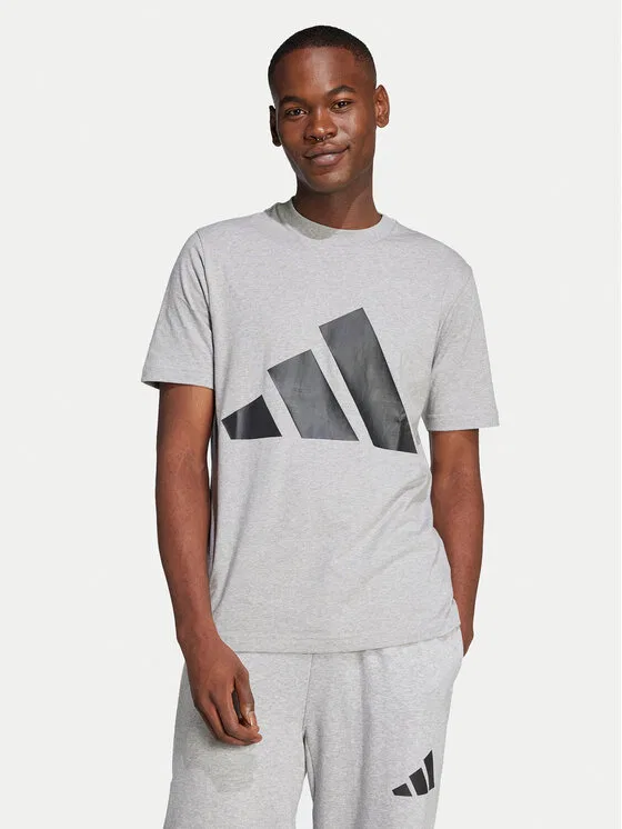Футболка regular fit Essentials Big Logo Adidas, серый