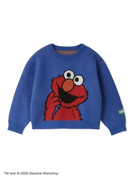 Вязаный пуловер Sesame Street Market, BLU[086]