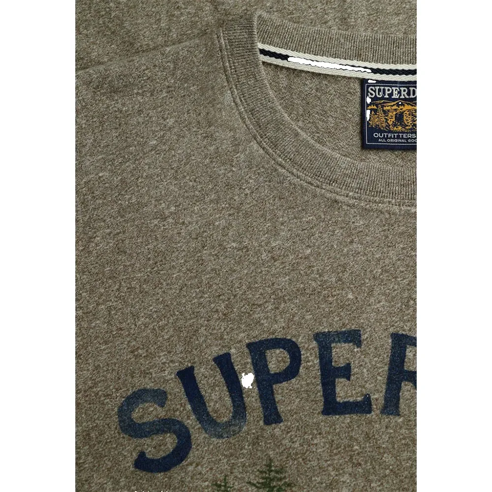 Мужская футболка с принтом Wild Frontier Superdry, Green — фото 4